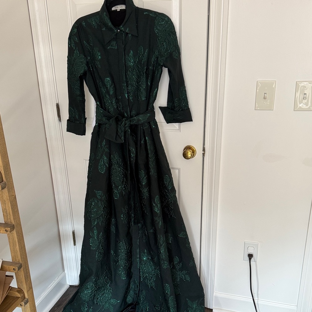 Teri Jon Green Maxi Dress 4